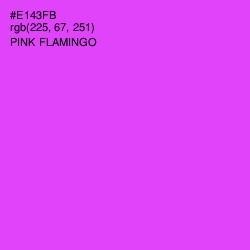 #E143FB - Pink Flamingo Color Image