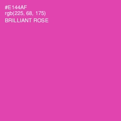 #E144AF - Brilliant Rose Color Image