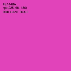 #E144BA - Brilliant Rose Color Image