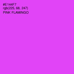 #E144F7 - Pink Flamingo Color Image