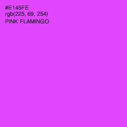 #E145FE - Pink Flamingo Color Image