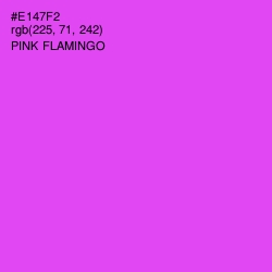 #E147F2 - Pink Flamingo Color Image