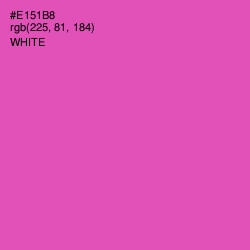 #E151B8 - Brilliant Rose Color Image