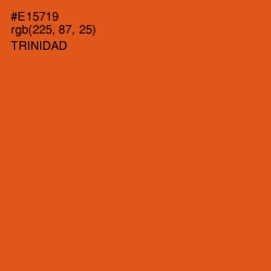 #E15719 - Trinidad Color Image