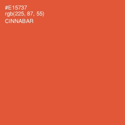 #E15737 - Cinnabar Color Image