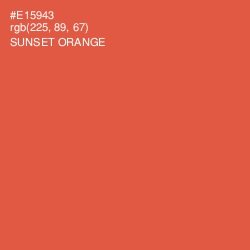 #E15943 - Sunset Orange Color Image