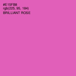 #E15FB8 - Brilliant Rose Color Image