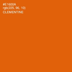 #E1600A - Clementine Color Image