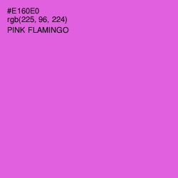 #E160E0 - Pink Flamingo Color Image