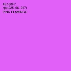 #E160F7 - Pink Flamingo Color Image
