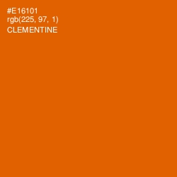 #E16101 - Clementine Color Image