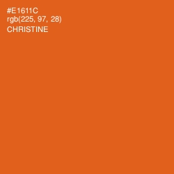 #E1611C - Christine Color Image