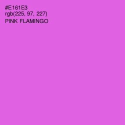 #E161E3 - Pink Flamingo Color Image