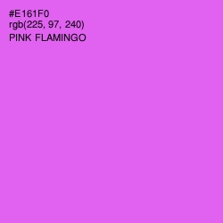 #E161F0 - Pink Flamingo Color Image