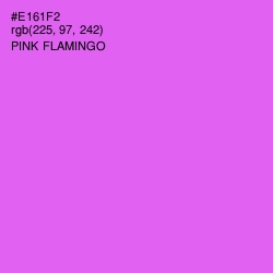 #E161F2 - Pink Flamingo Color Image