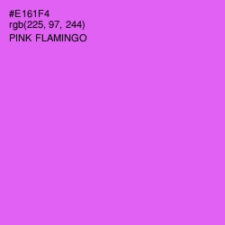 #E161F4 - Pink Flamingo Color Image