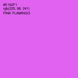 #E162F1 - Pink Flamingo Color Image