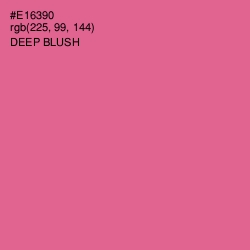 #E16390 - Deep Blush Color Image