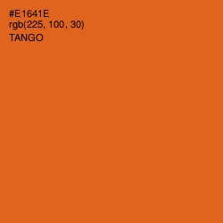 #E1641E - Tango Color Image