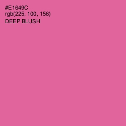 #E1649C - Deep Blush Color Image