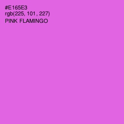 #E165E3 - Pink Flamingo Color Image