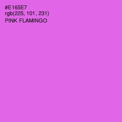 #E165E7 - Pink Flamingo Color Image