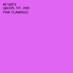 #E165F3 - Pink Flamingo Color Image