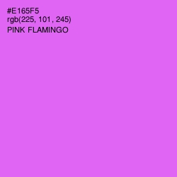 #E165F5 - Pink Flamingo Color Image