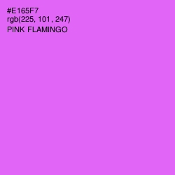 #E165F7 - Pink Flamingo Color Image