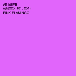 #E165FB - Pink Flamingo Color Image