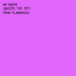 #E166FB - Pink Flamingo Color Image