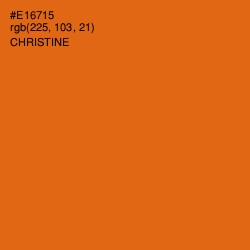 #E16715 - Christine Color Image