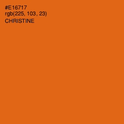 #E16717 - Christine Color Image