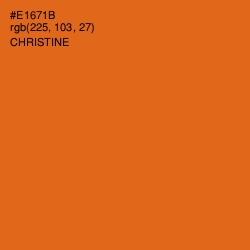 #E1671B - Christine Color Image