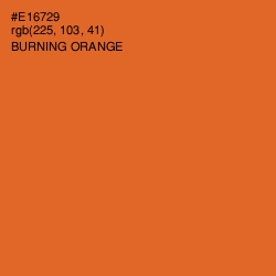 #E16729 - Burning Orange Color Image