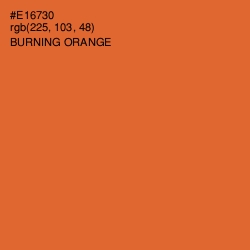 #E16730 - Burning Orange Color Image