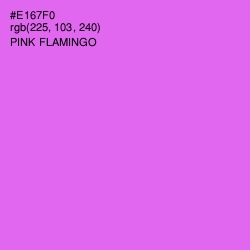 #E167F0 - Pink Flamingo Color Image