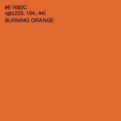#E1682C - Burning Orange Color Image