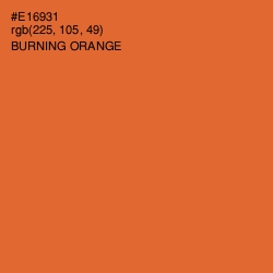 #E16931 - Burning Orange Color Image