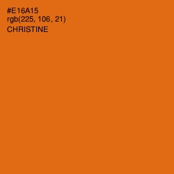 #E16A15 - Christine Color Image