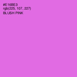 #E16BE3 - Blush Pink Color Image