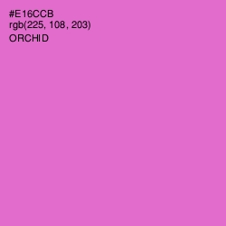 #E16CCB - Orchid Color Image