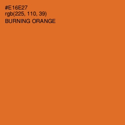 #E16E27 - Burning Orange Color Image