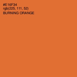 #E16F34 - Burning Orange Color Image