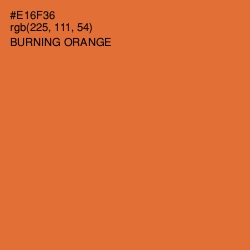 #E16F36 - Burning Orange Color Image