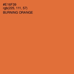 #E16F39 - Burning Orange Color Image