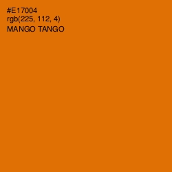 #E17004 - Mango Tango Color Image