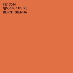 #E17044 - Burnt Sienna Color Image