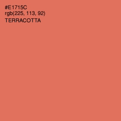 #E1715C - Terracotta Color Image