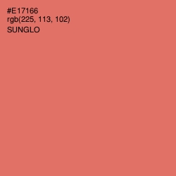 #E17166 - Sunglo Color Image